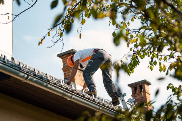 Best Roof Insulation Installation  in Monticello, IN