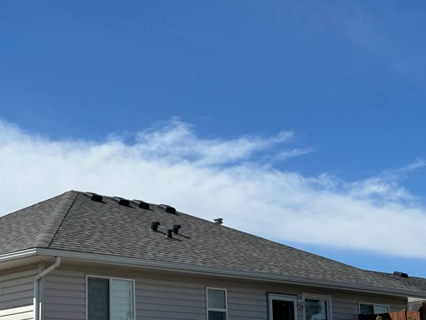 Best Roof Ventilation Installation  in Monticello, IN